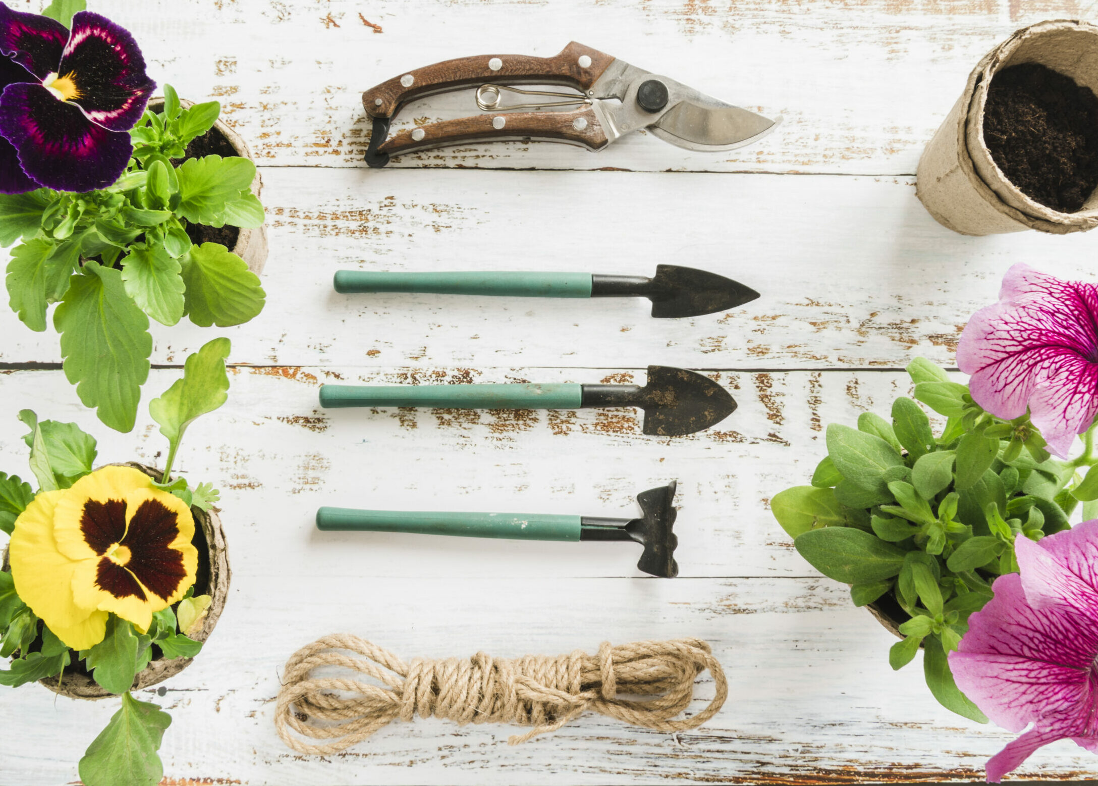 petunia-pansy-flowers-with-gardening-tools-peat-pot-rope-wooden-desk